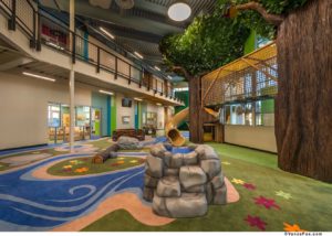 Impact resistant flooring with indoor playground equipment that is forest themed.